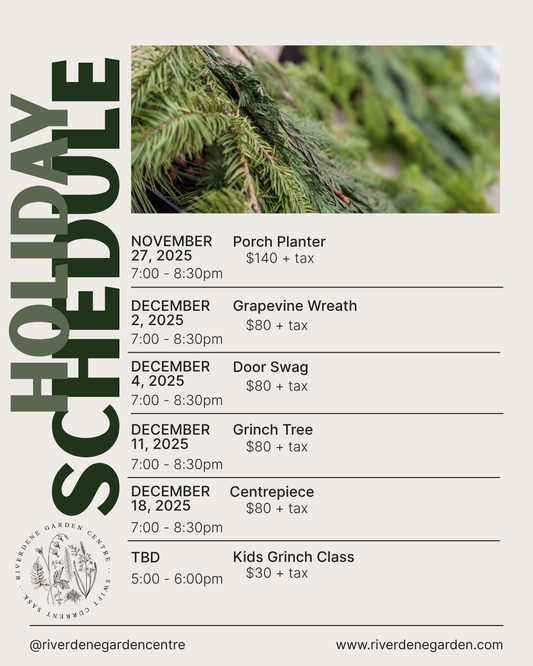 Christmas Class Schedule