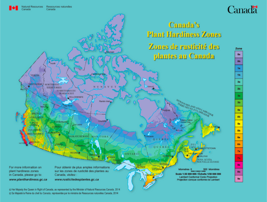 Canadian Hardiness Zones