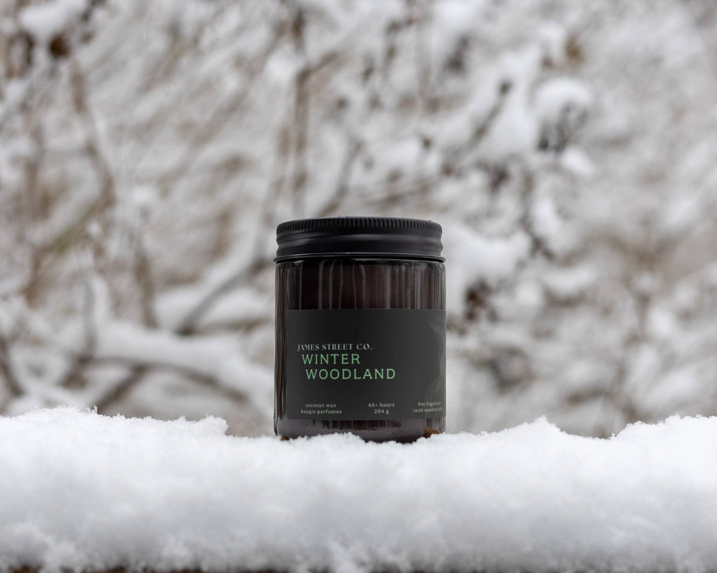 Winter Woodland 8oz Candle - Holiday Winter Christmas: 8oz - 40+hrs