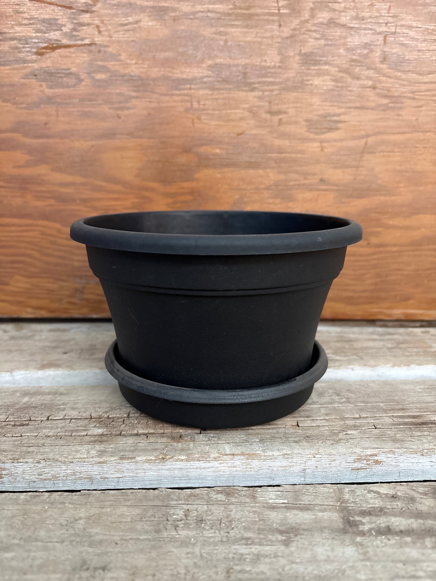 Libby Pot