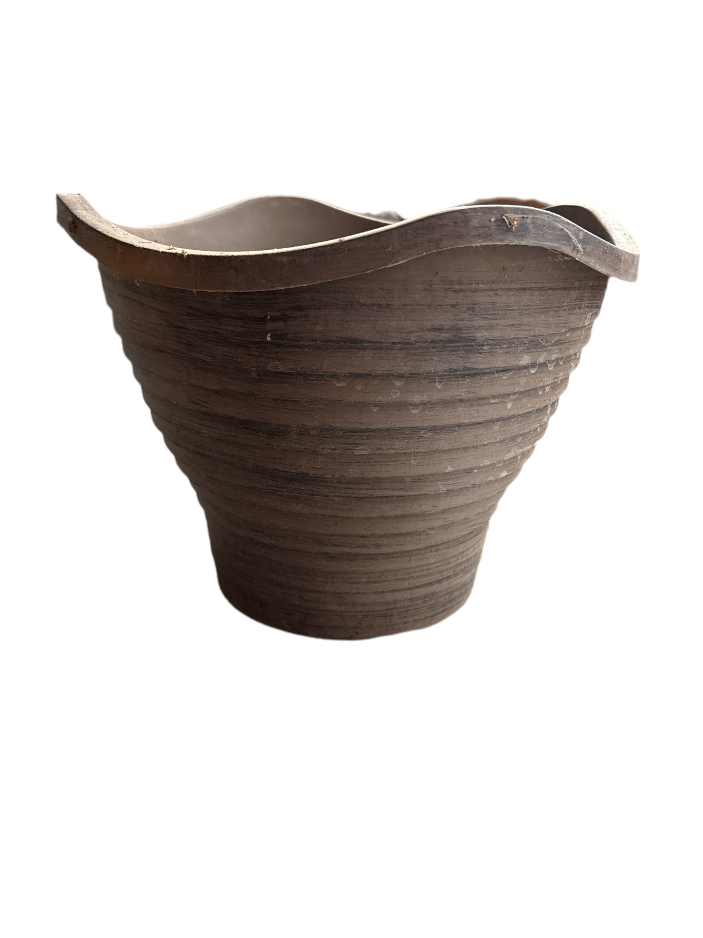 Charlotte hanging basket 12”