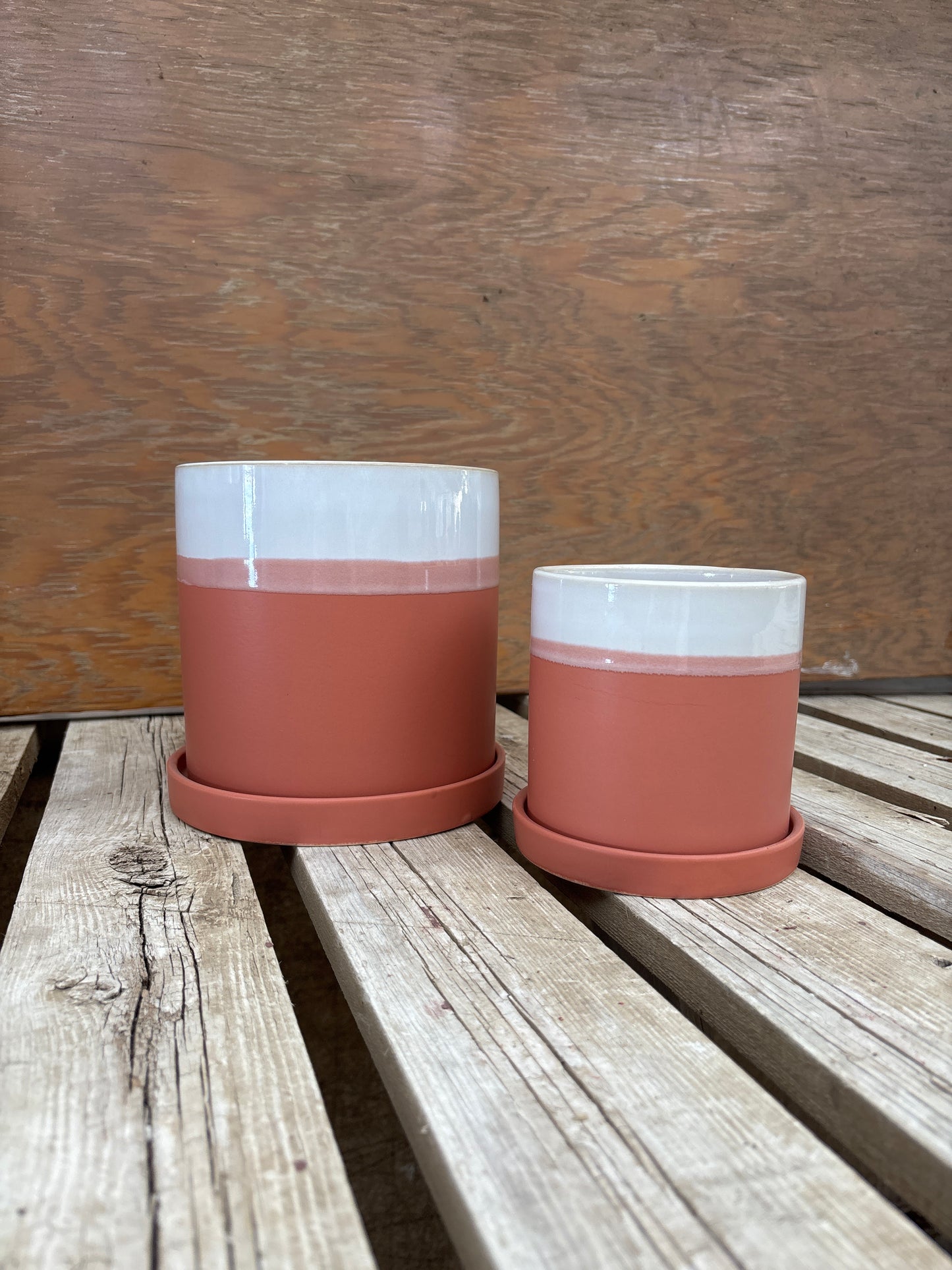 White Top Terra-Cotta with Saucer