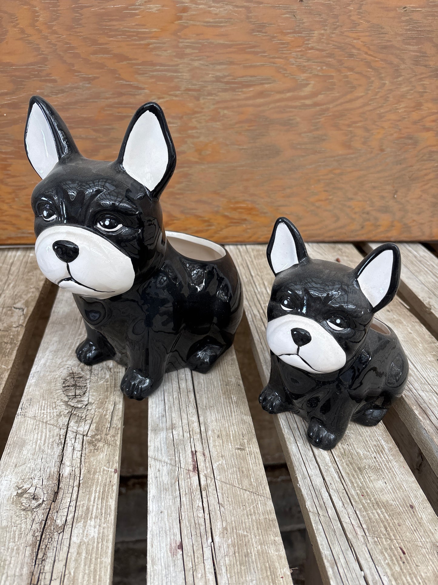Boston Terrier Plant Pot