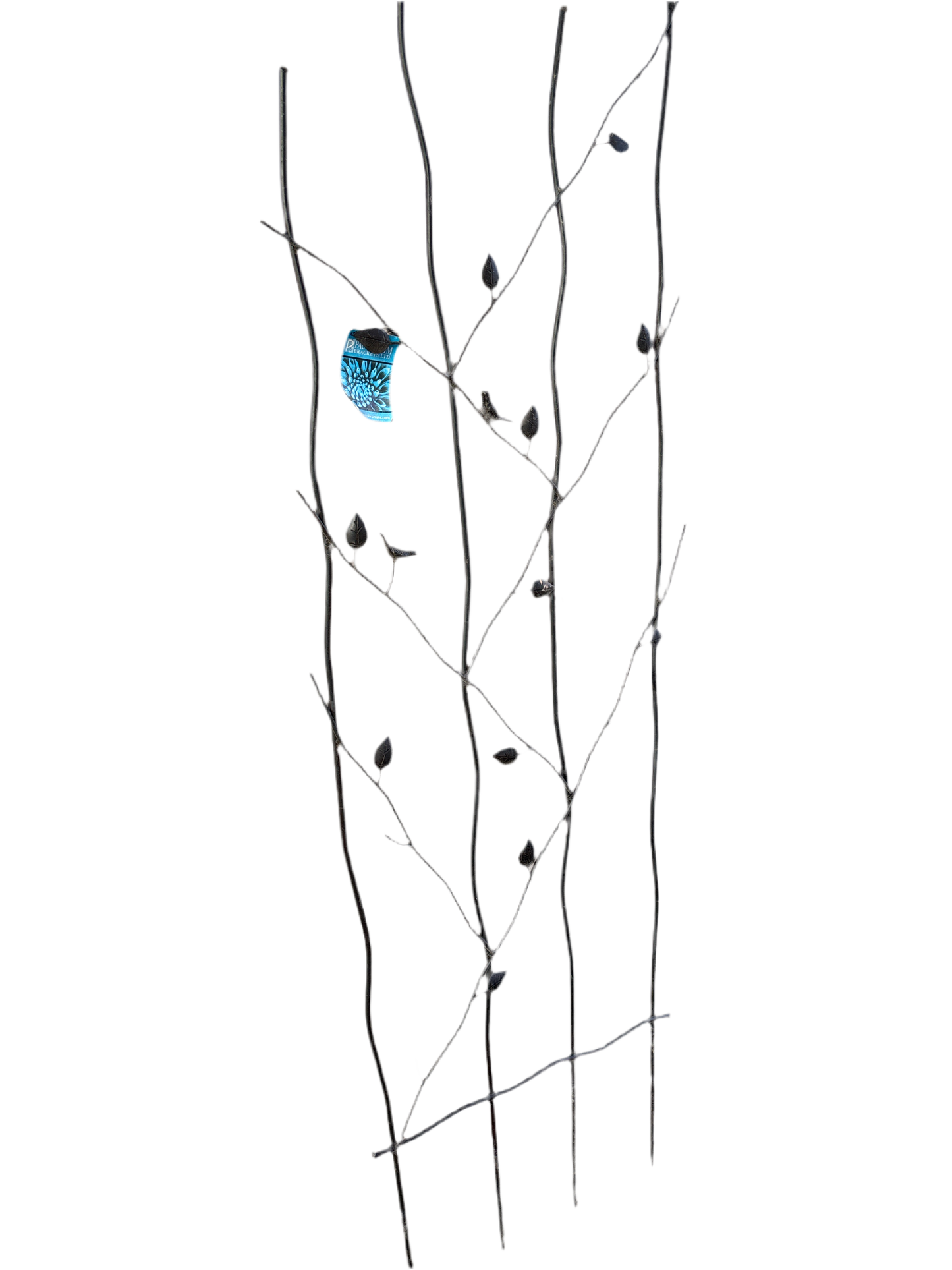 71 inch Tweakin bird trellis large