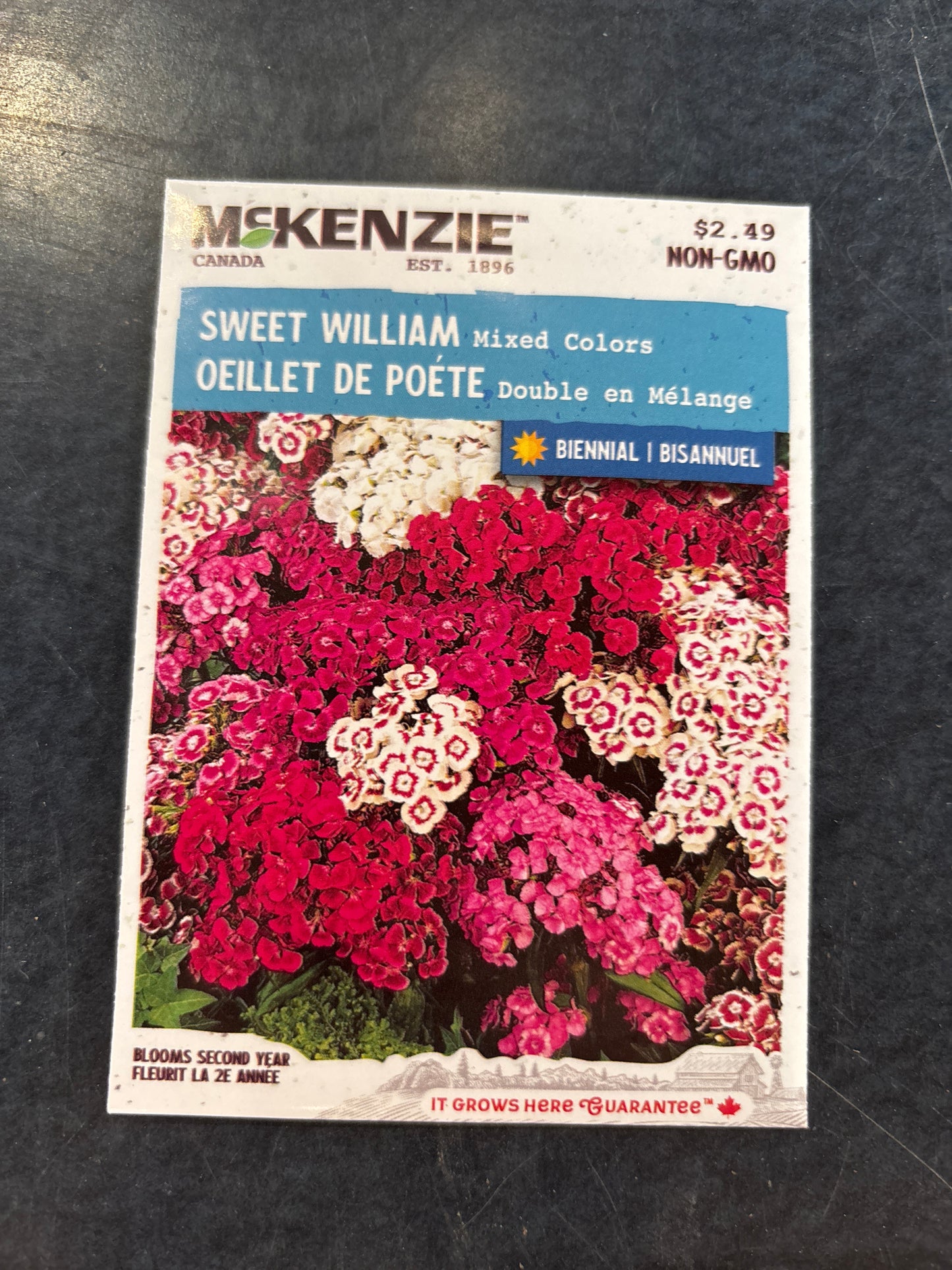 Mixed Colours Sweet William Seed