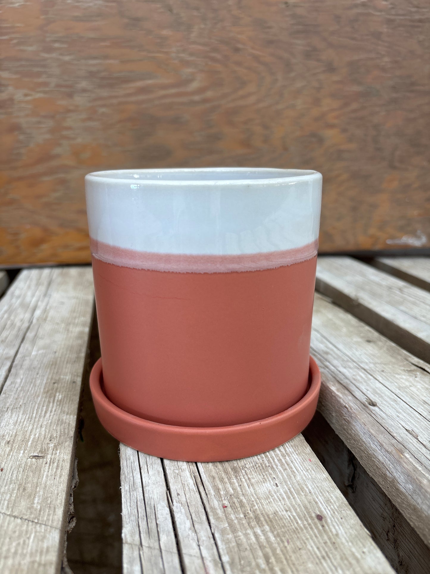 White Top Terra-Cotta with Saucer