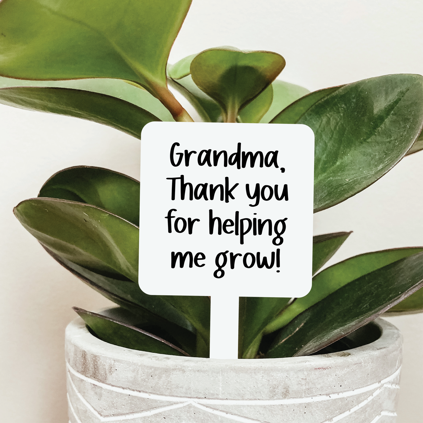 Grandma Thank You For Helping Me Grow Plant Stake