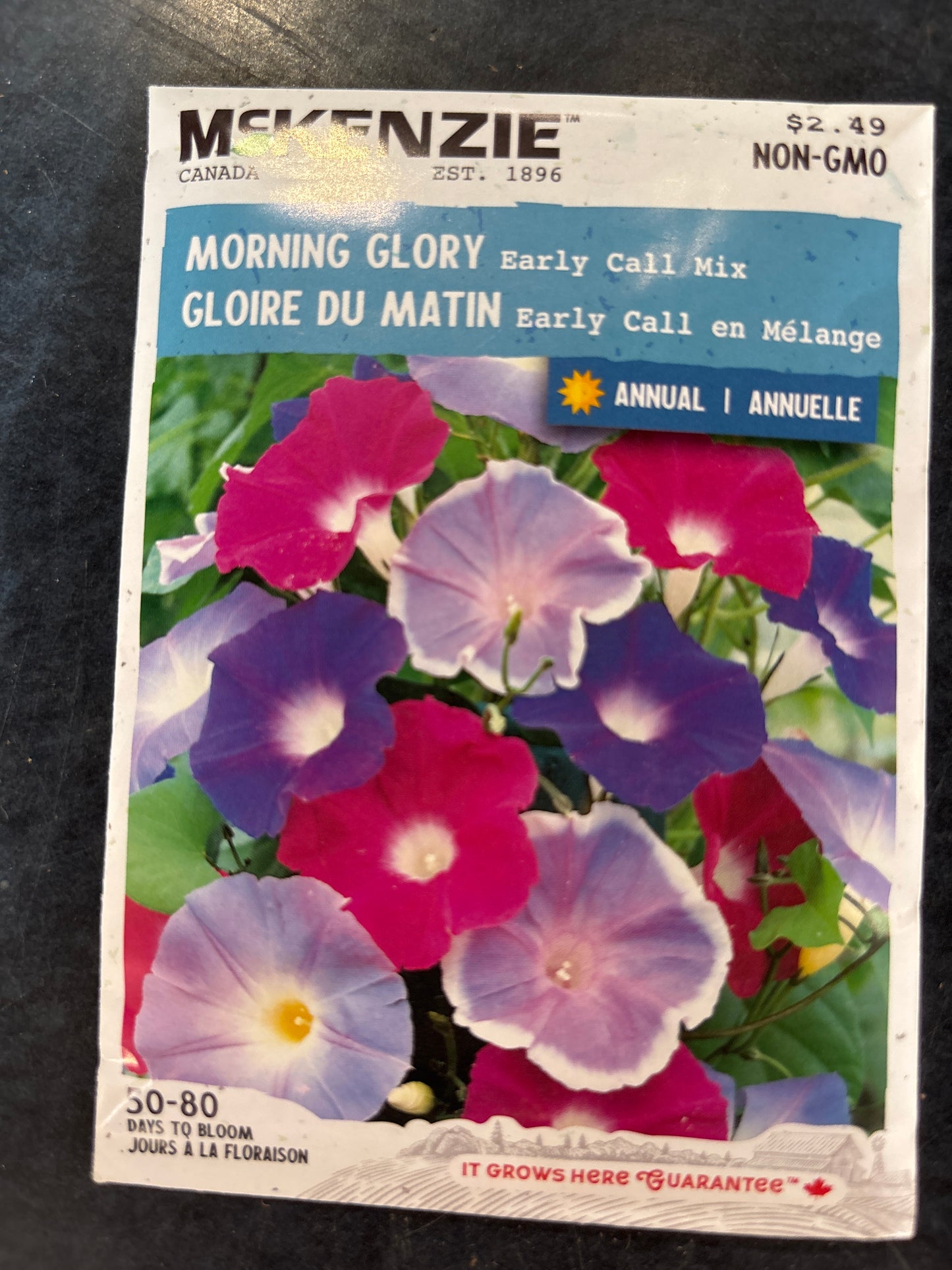 Early Call Mix Morning Glory Seed