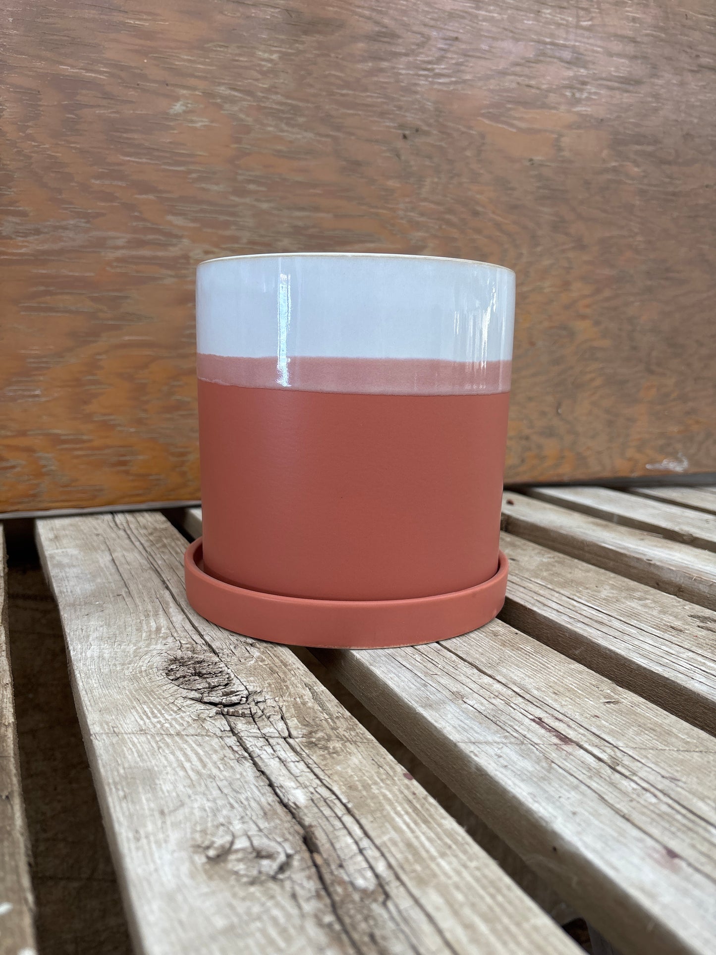 White Top Terra-Cotta with Saucer