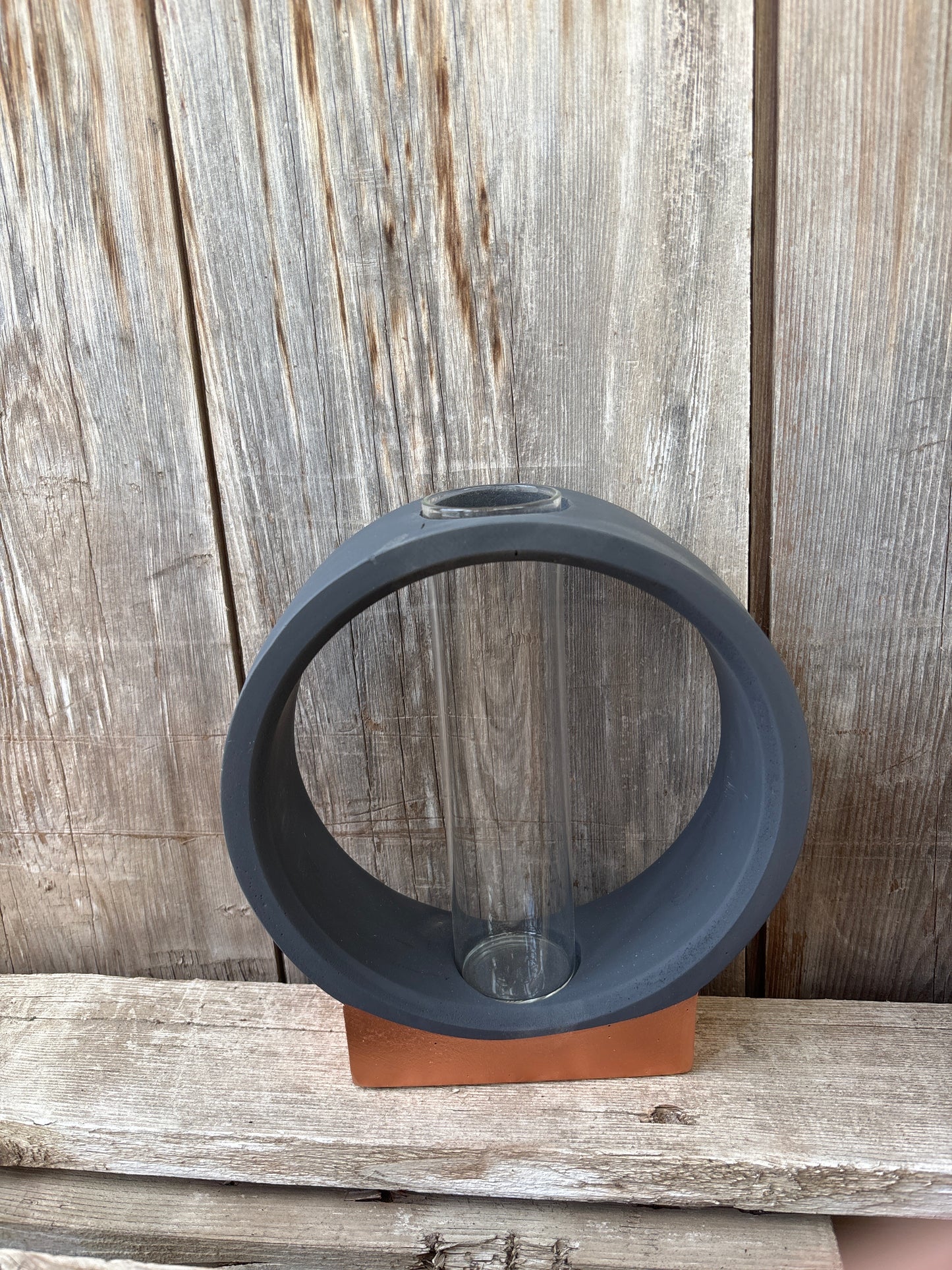 Vase/Plant propagation