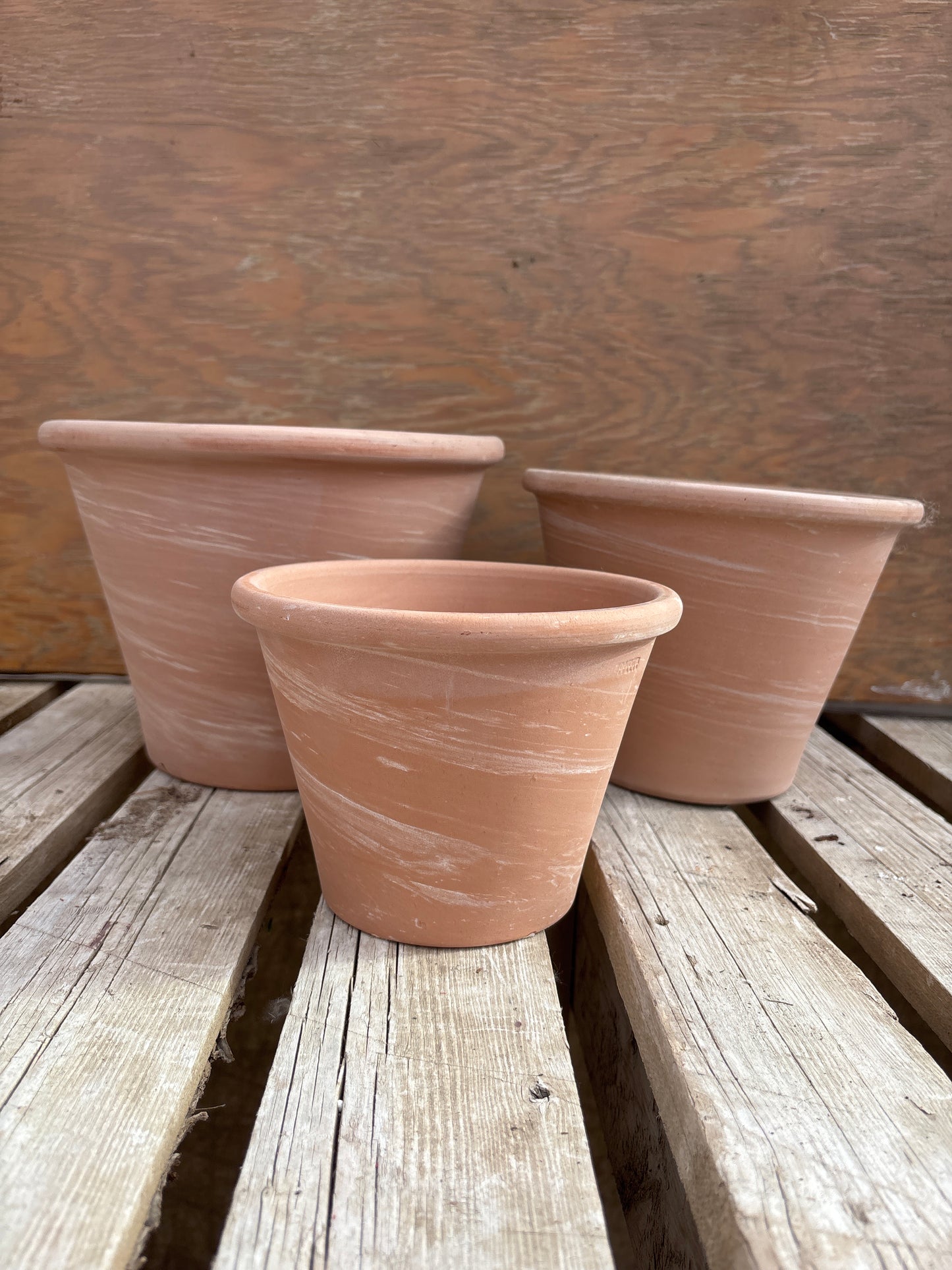 Vasum Duo Terra-cotta Pot