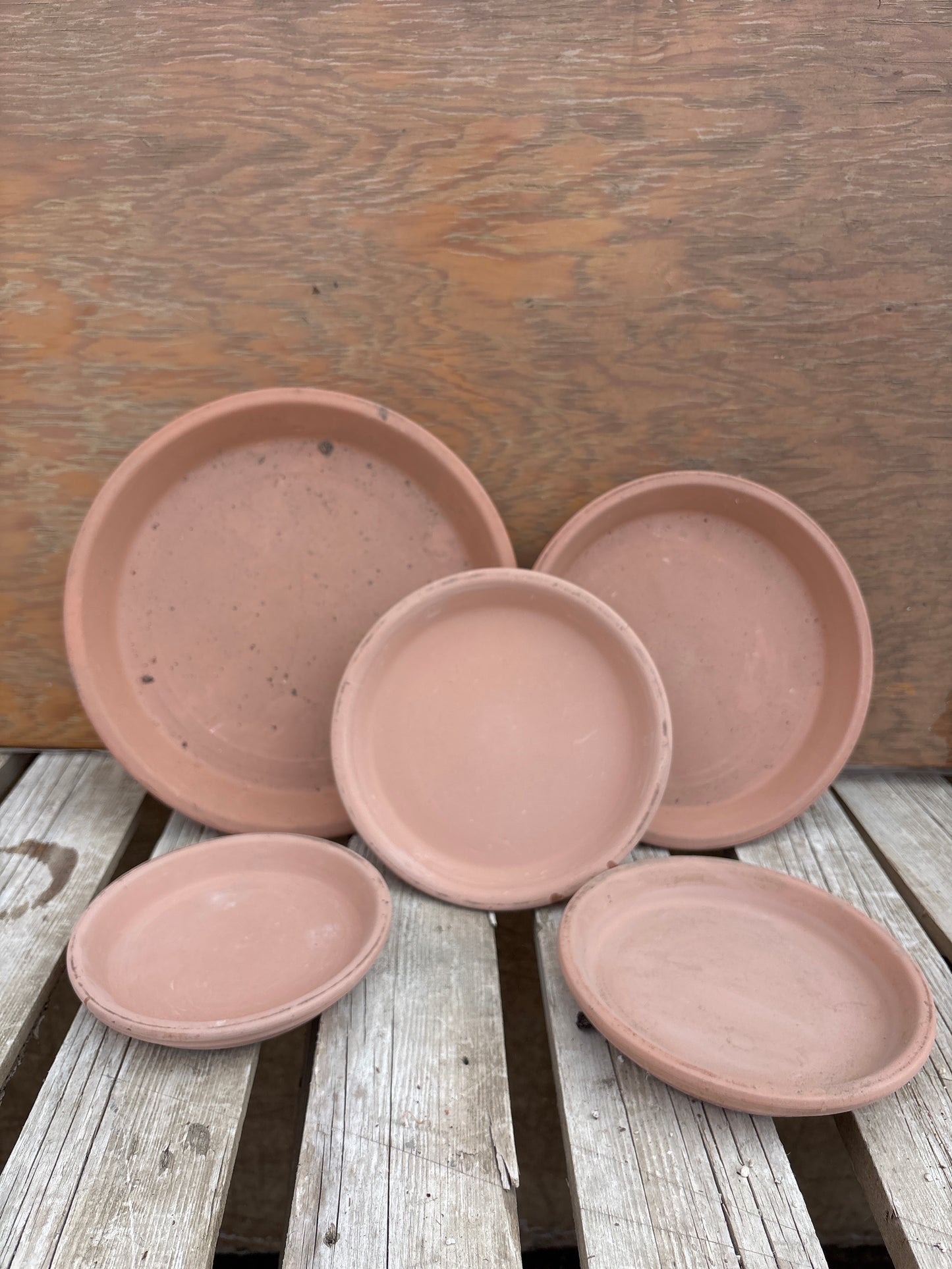 Terra cotta saucers