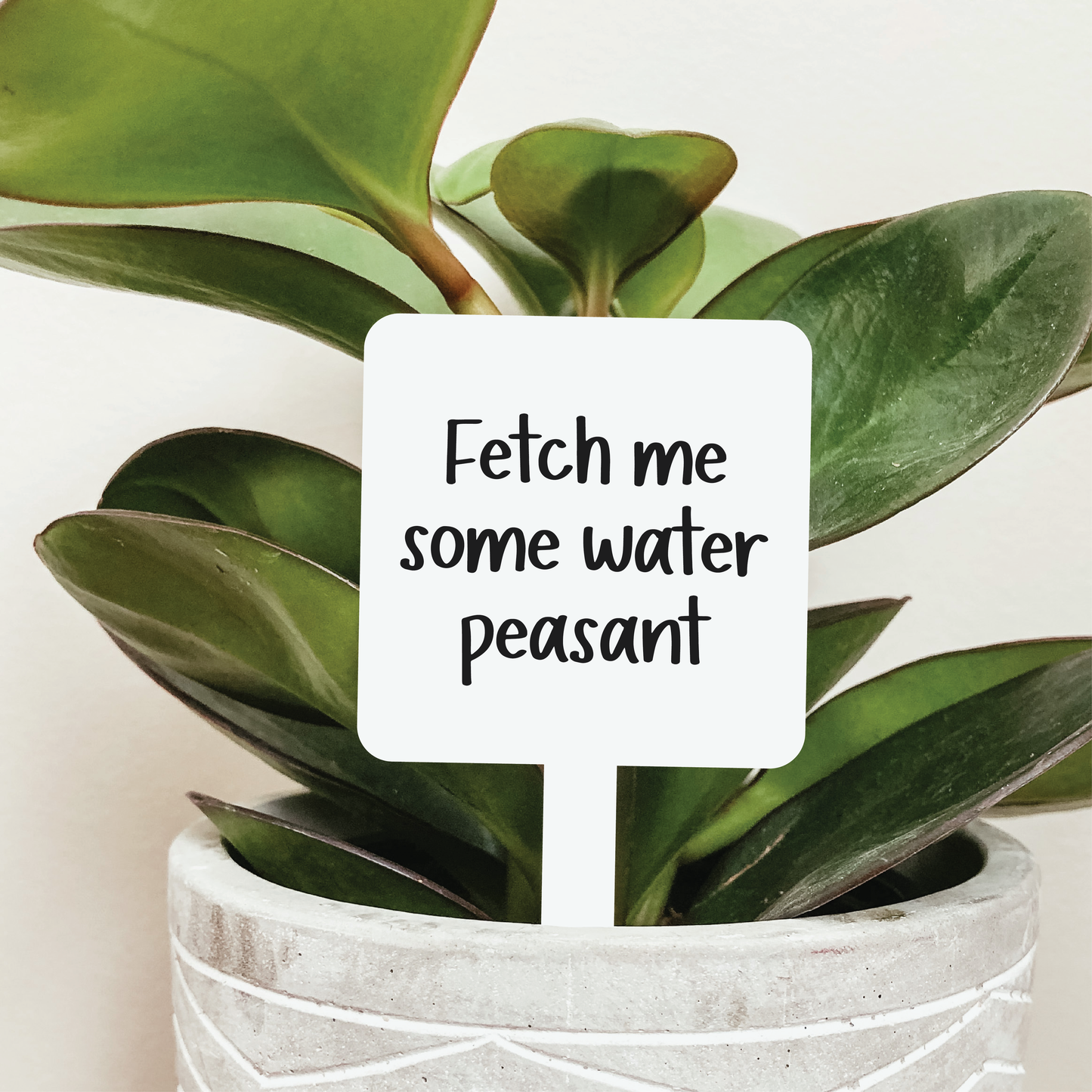 Fetch Me Some Water Peasant Plant Stake