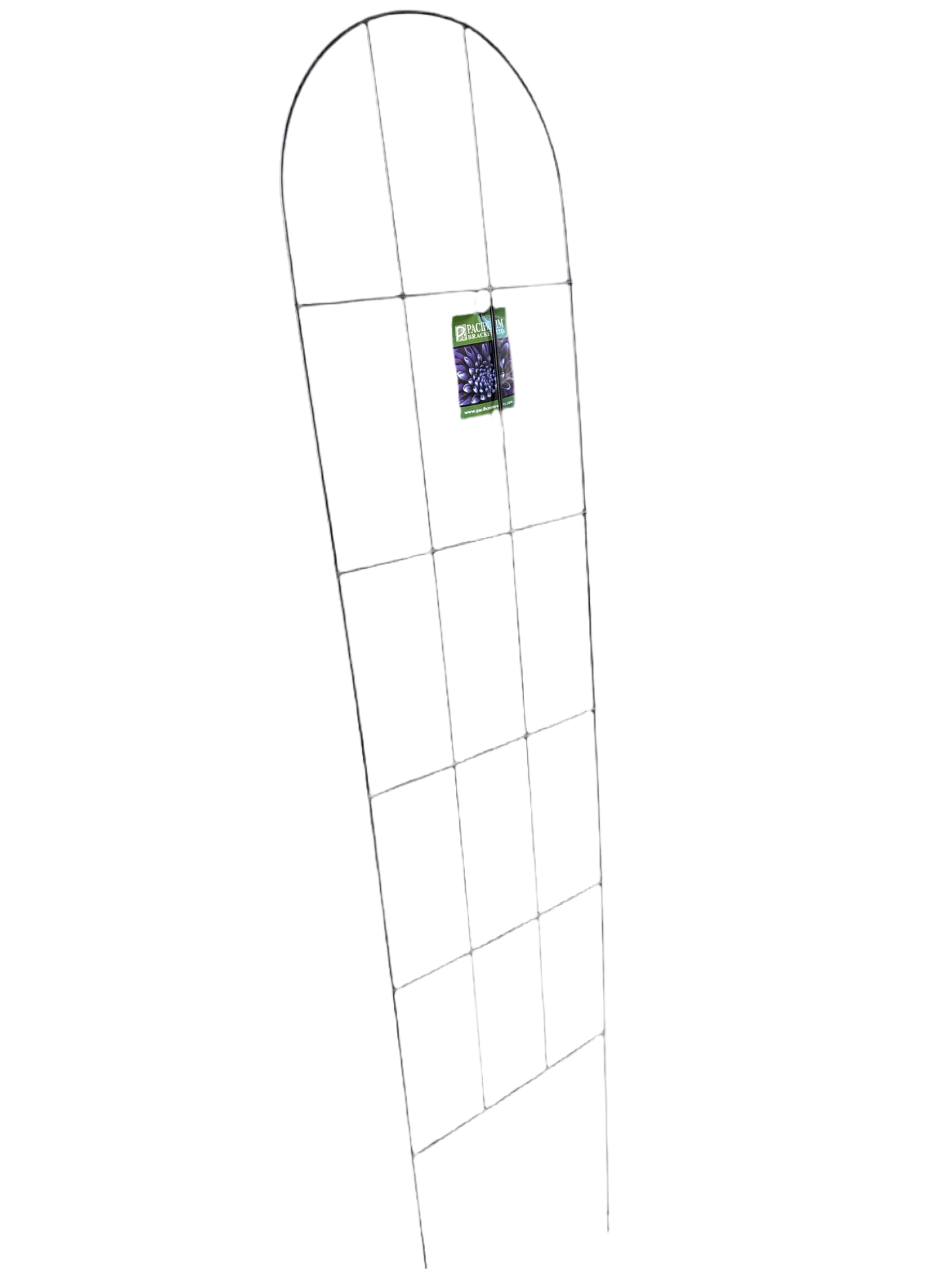 Classic trellis black