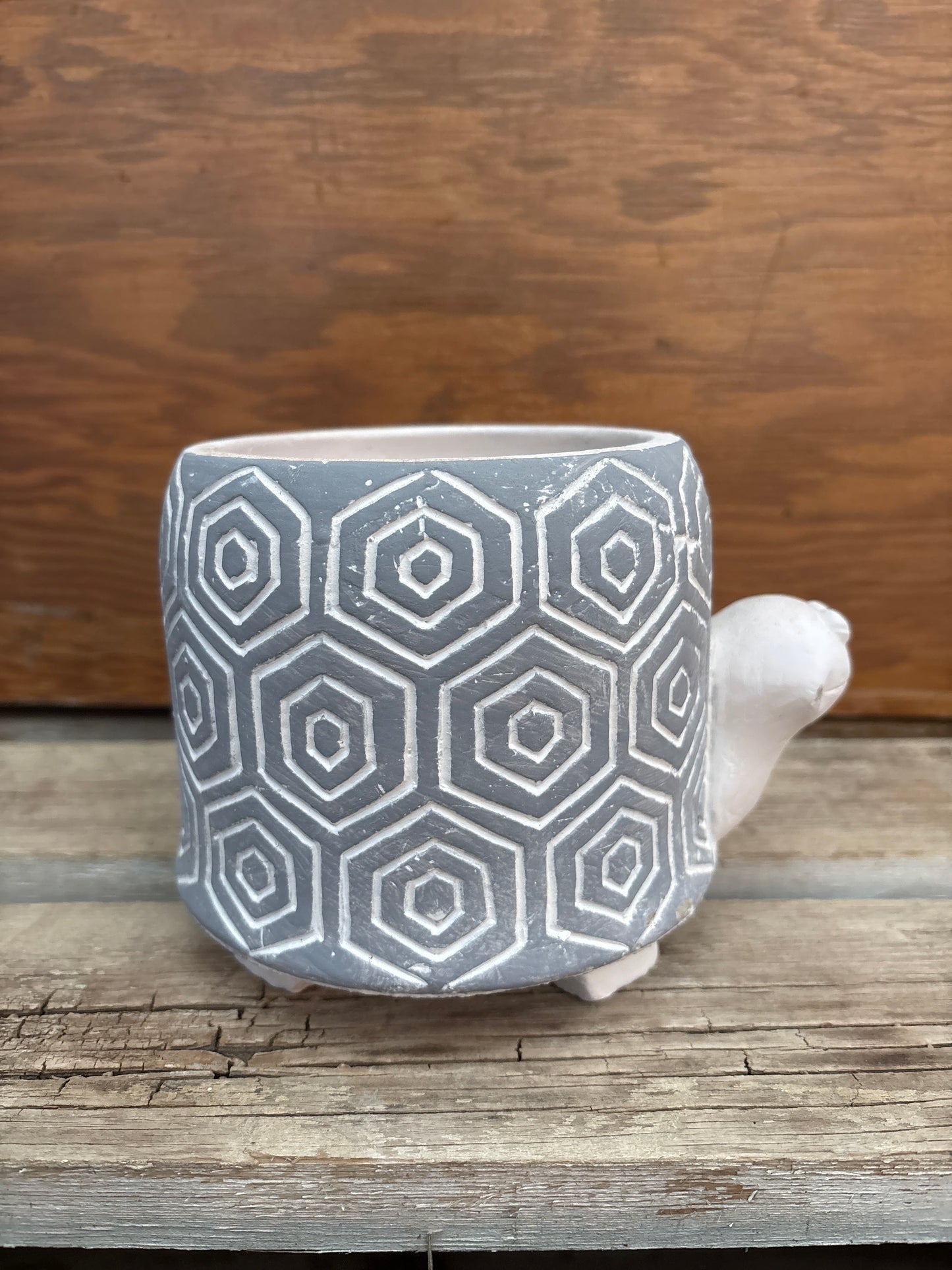 Turtle Pot