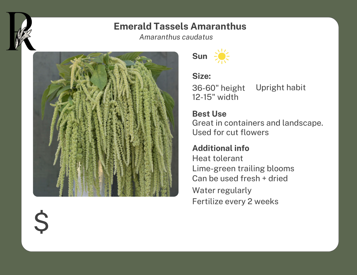 Emerald Tassels Amaranth