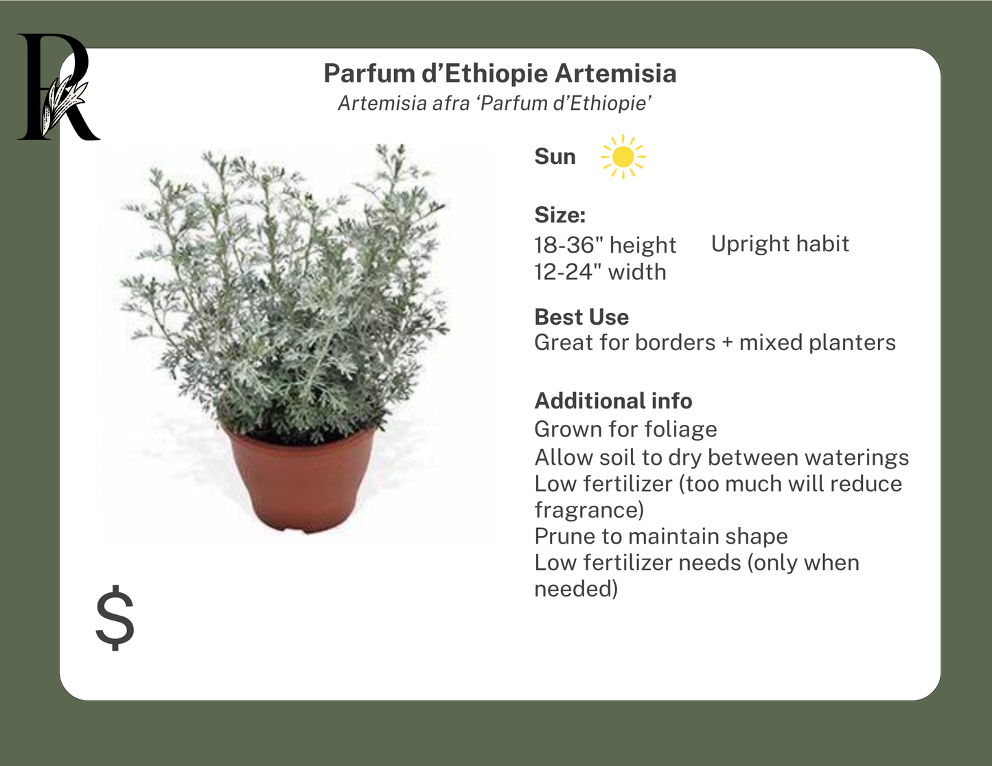 Parfum d'Ethiopie Artemisia