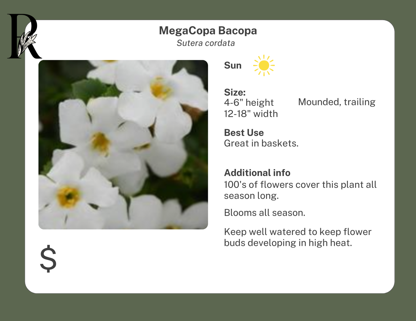 MegaCopa Bacopa (Blue)