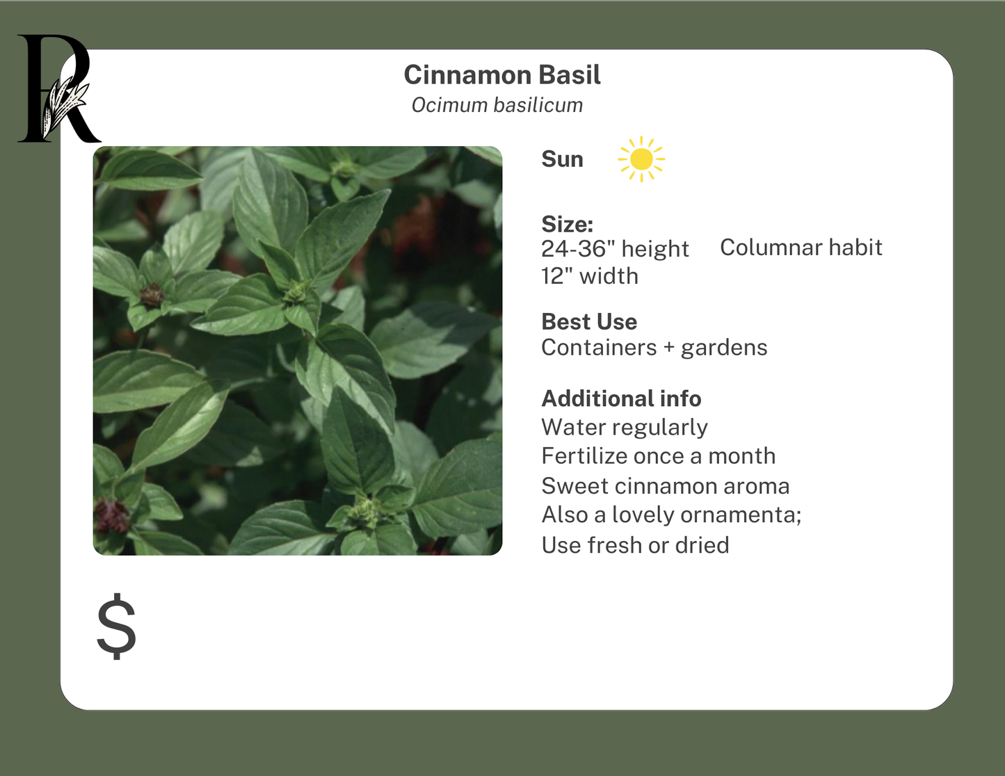 Cinnamon Basil