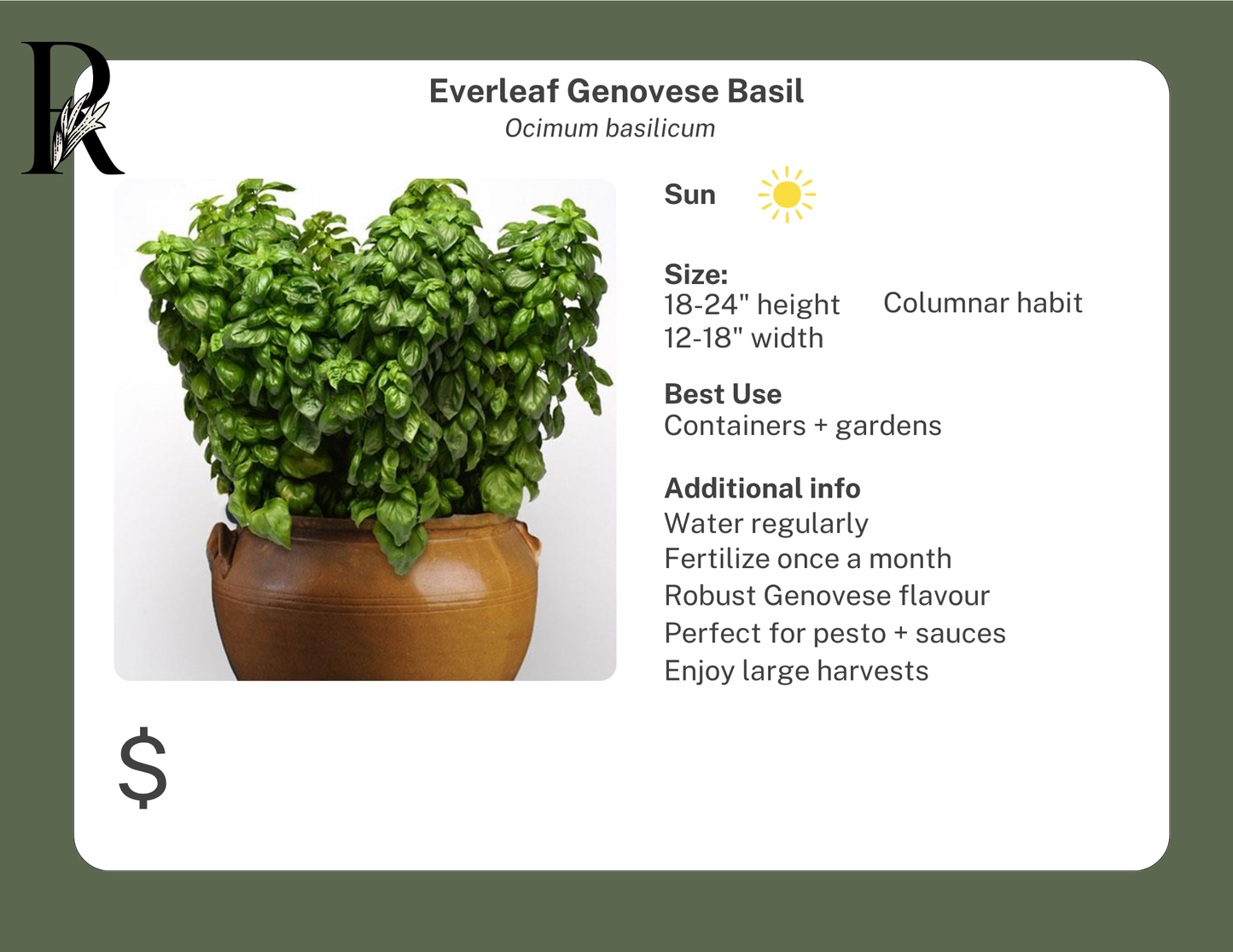 Everleaf Genovese Basil