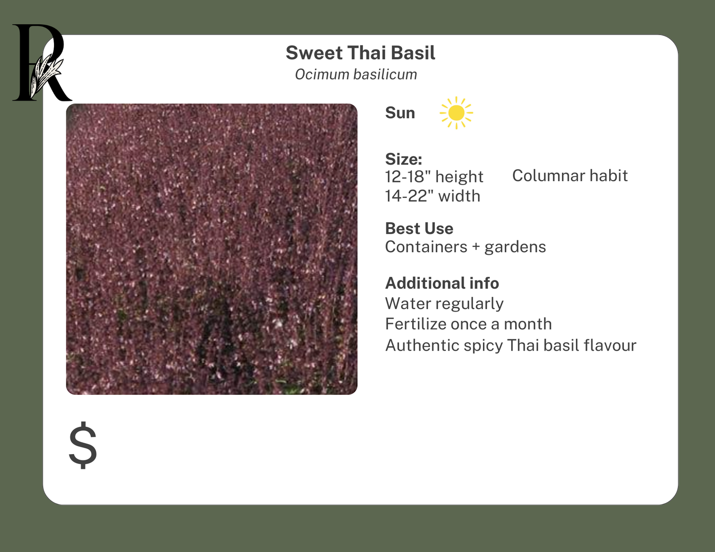 Sweet Thai Basil