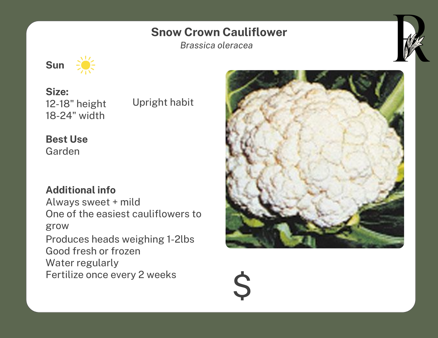 Snow Crown Cauliflower