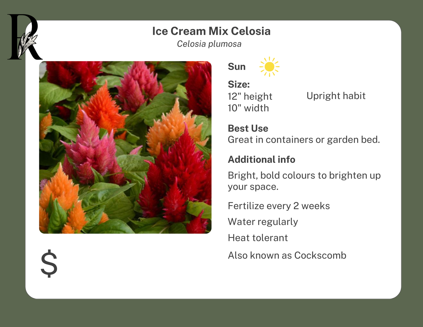 Celosia Ice Cream Mix