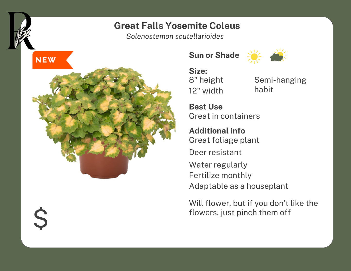 Great Falls Yosemite Coleus