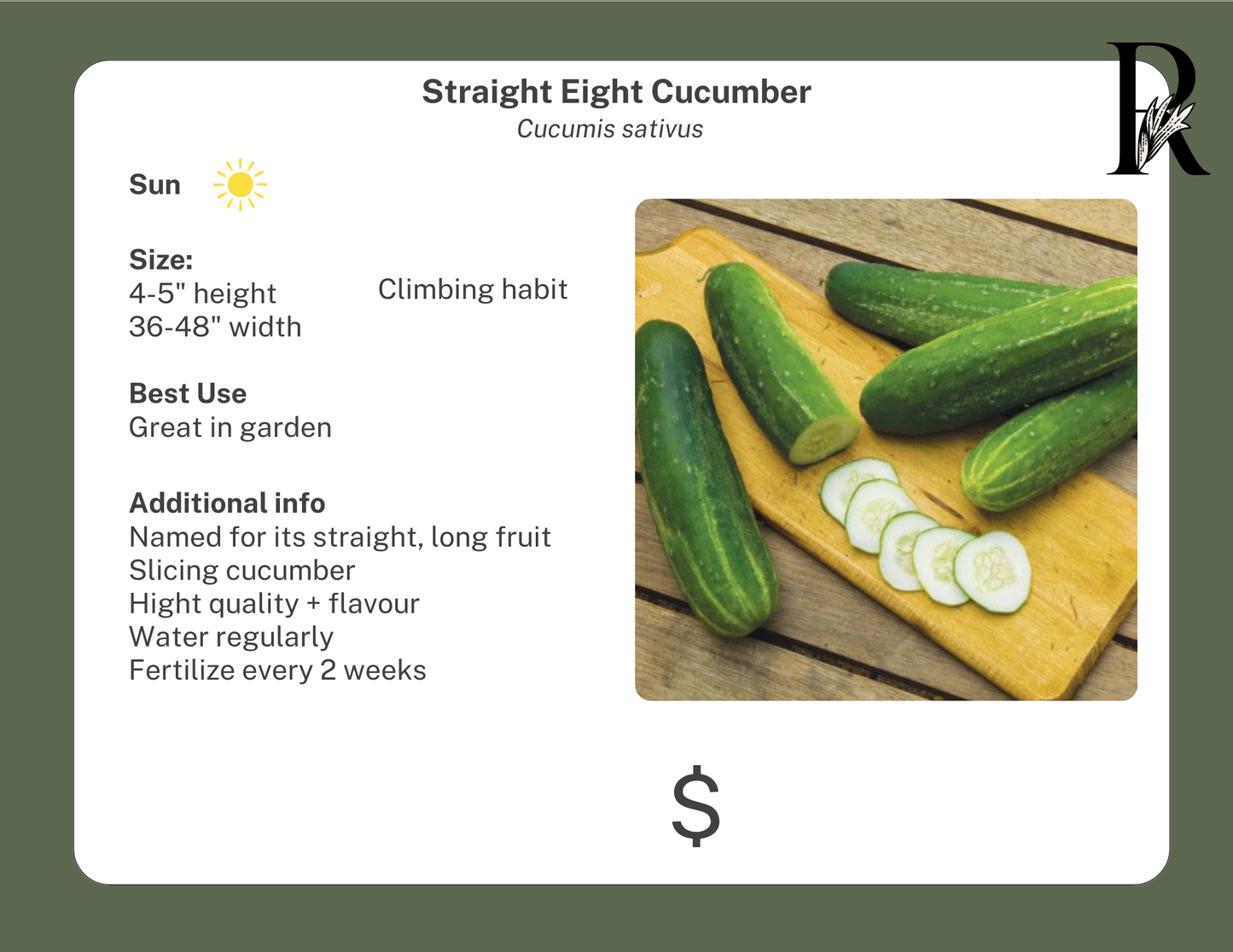 Straight Eight Cucumber