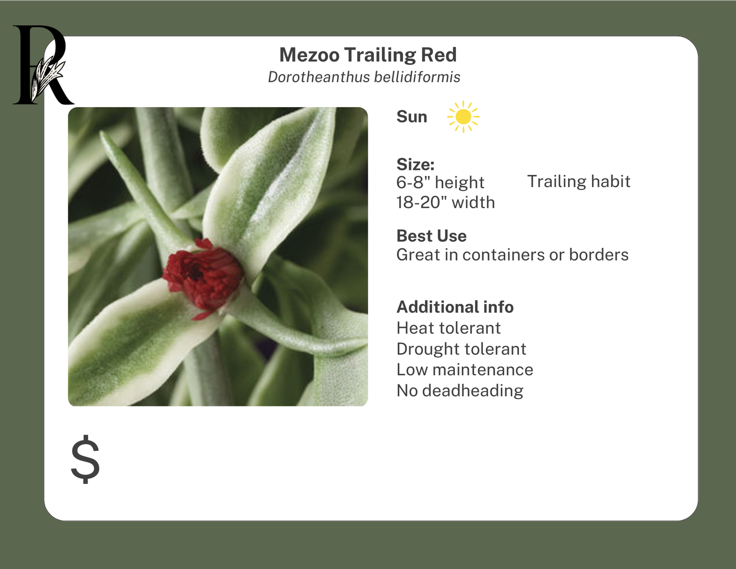 Mezoo Trailing Red