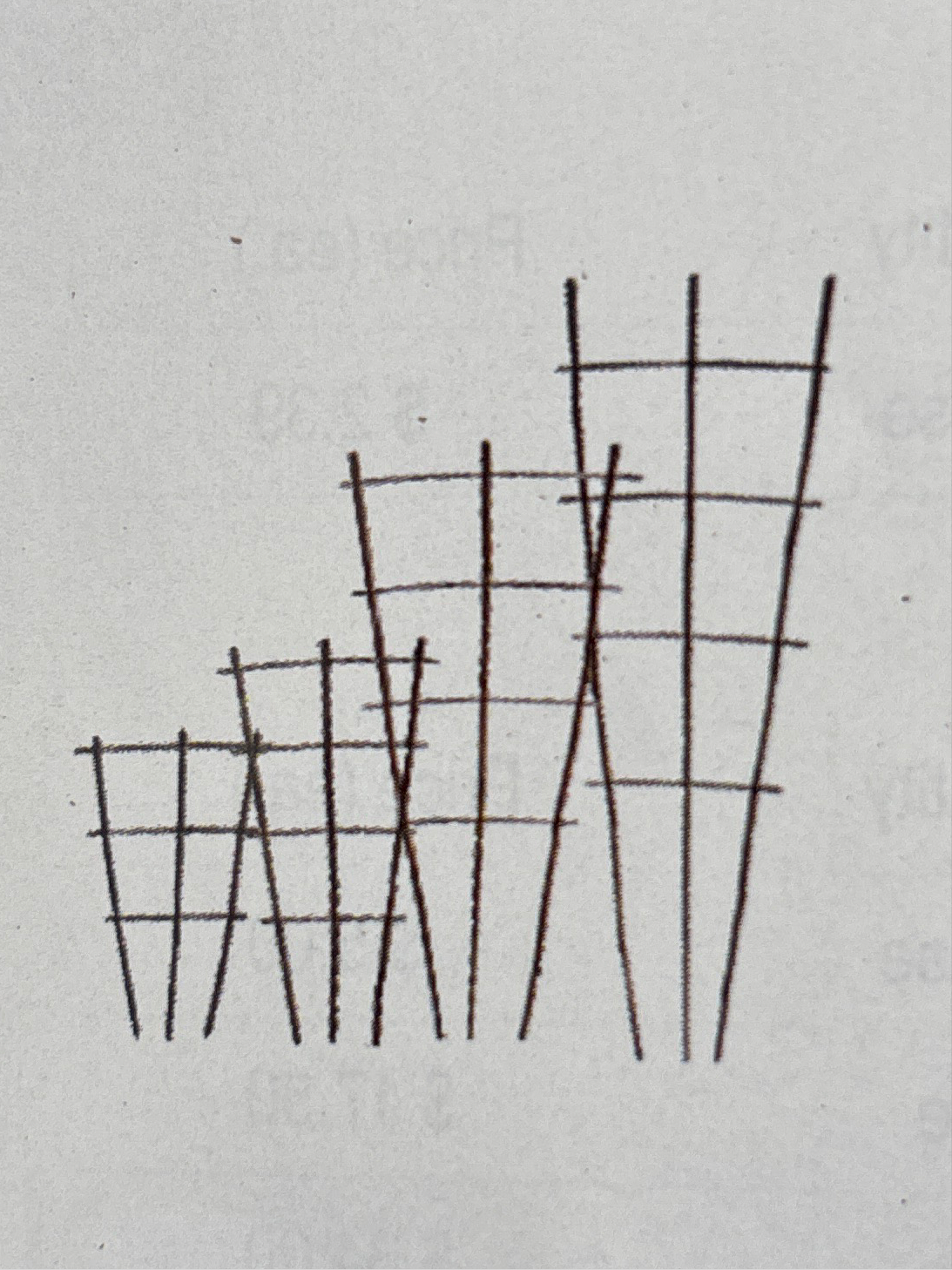 Bamboo fan trellis