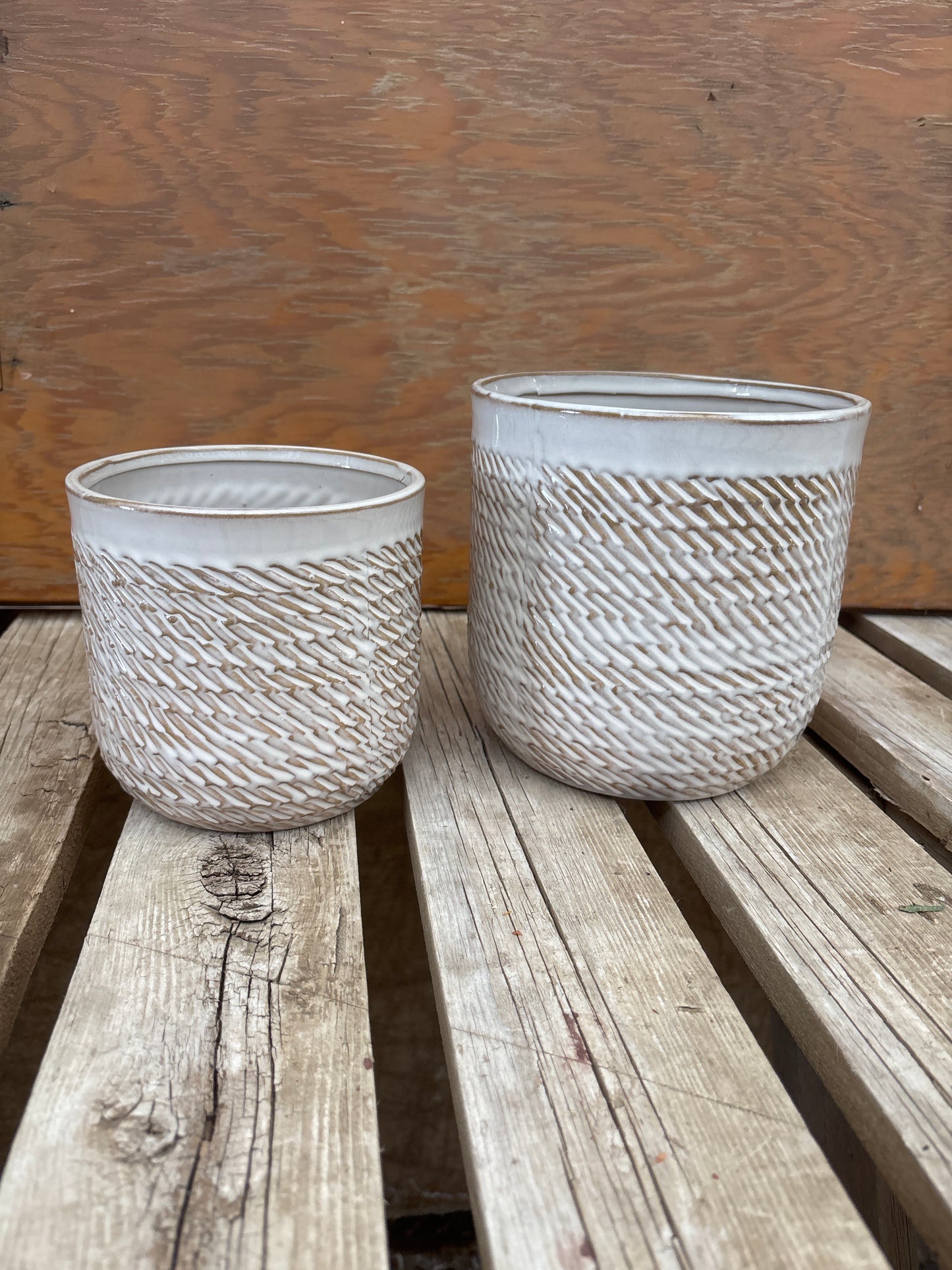 Gold Accent Pot