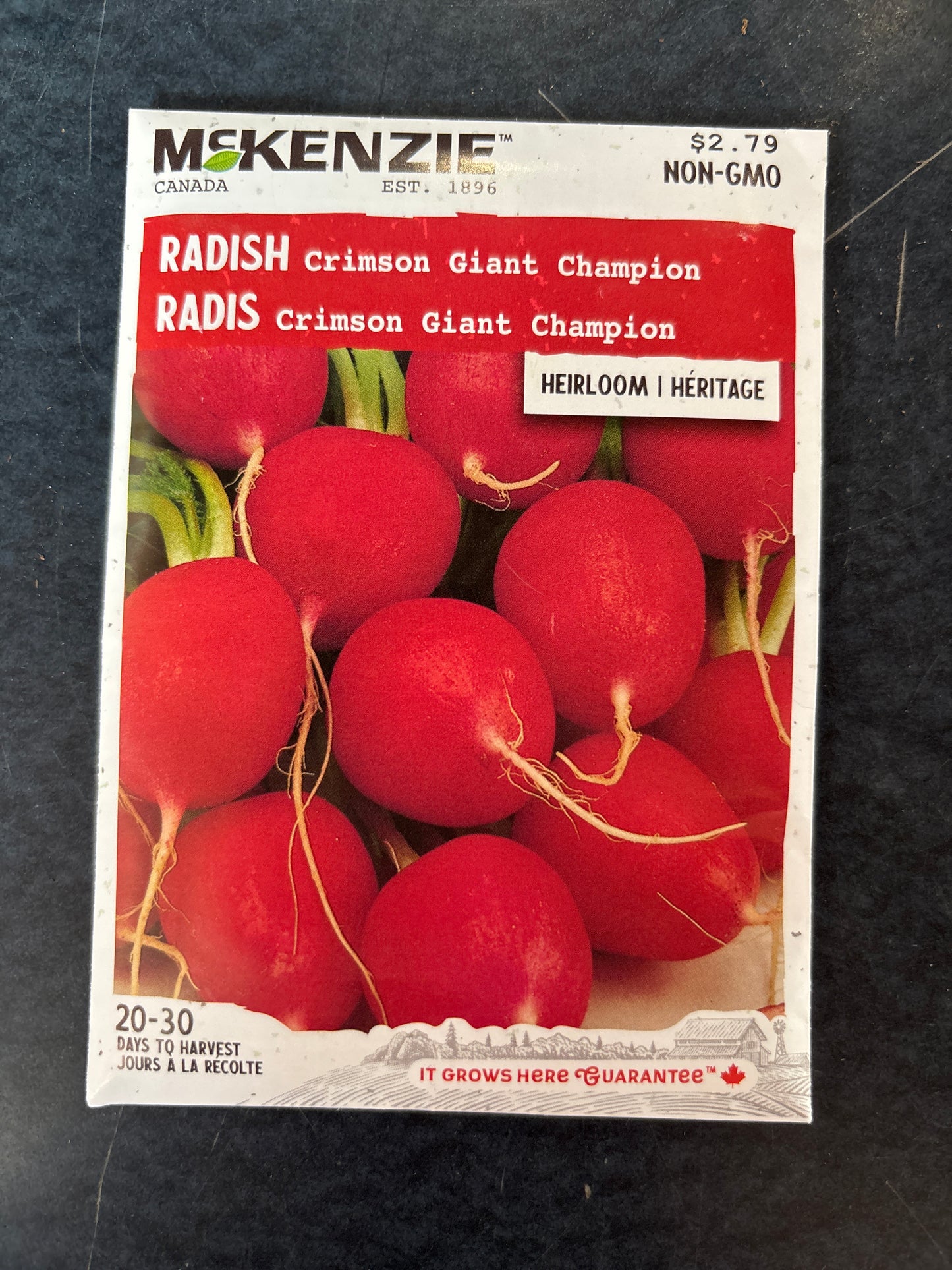 Crimson Giant Champion Radish Seed