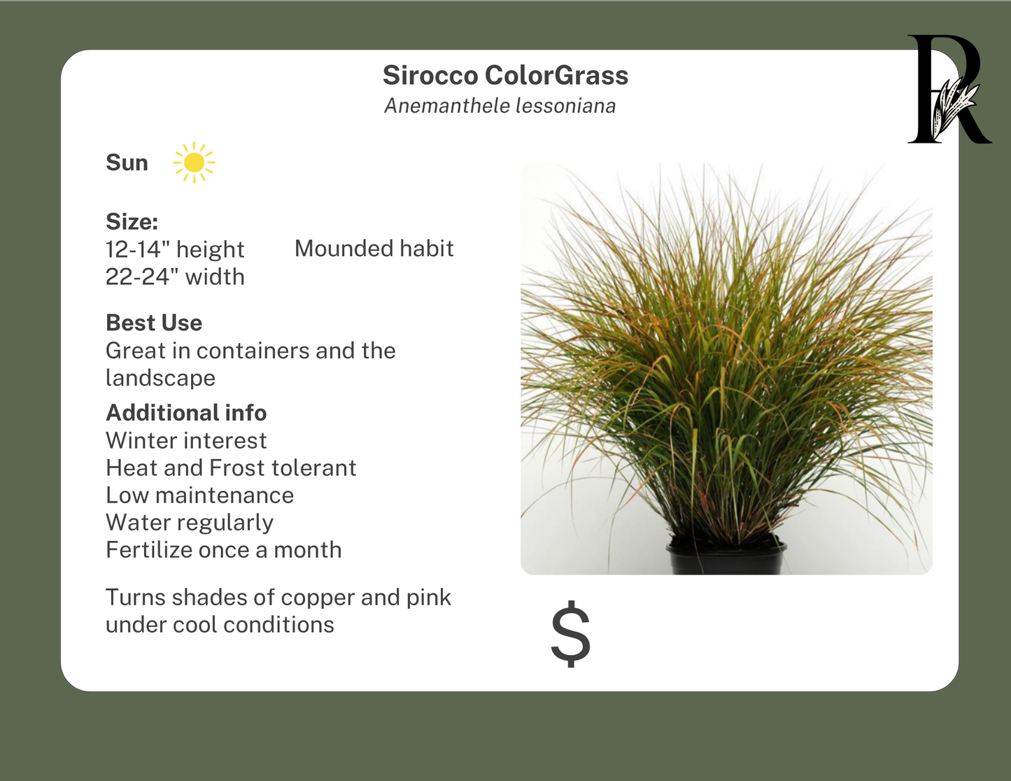 Sirocco ColorGrass