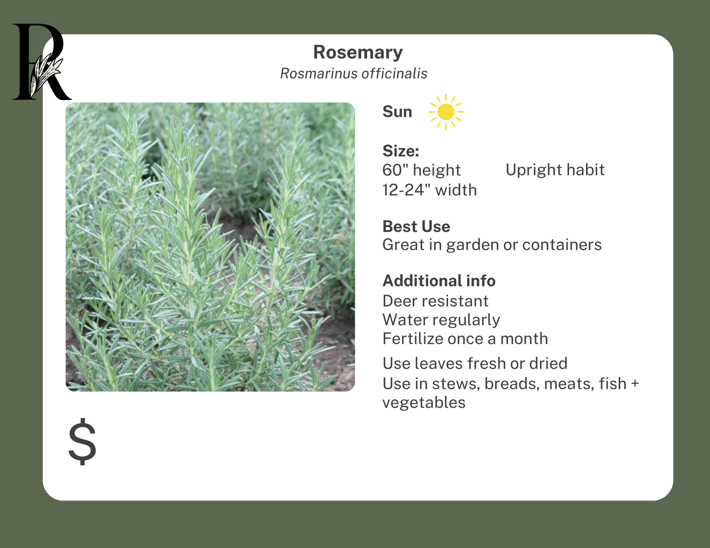 Rosemary
