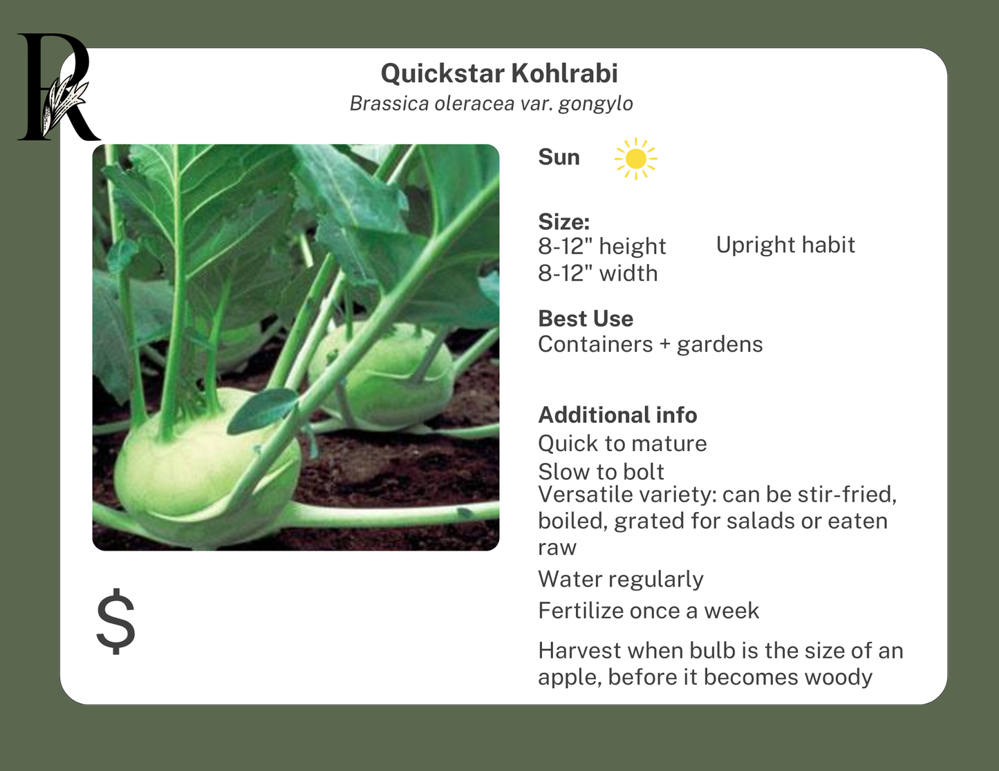 Quickstar Kohlrabi
