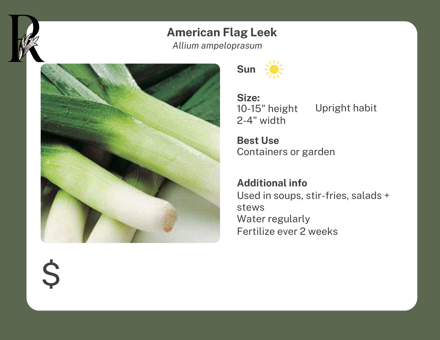 American Flag Leek
