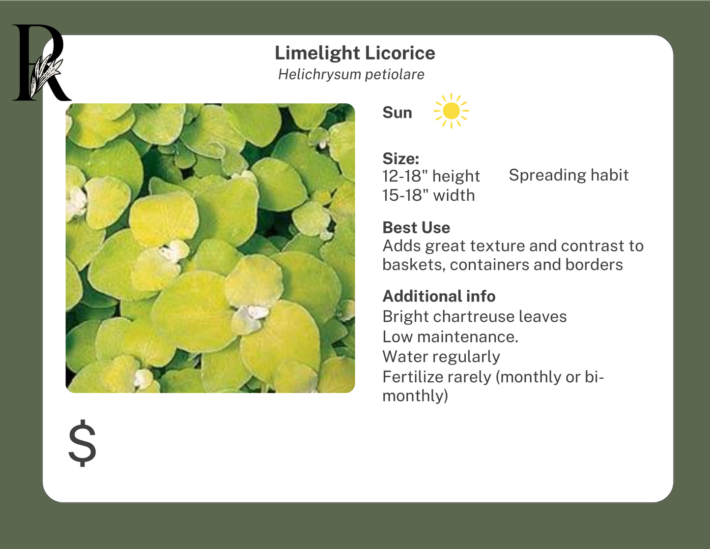 Limelight Licorice