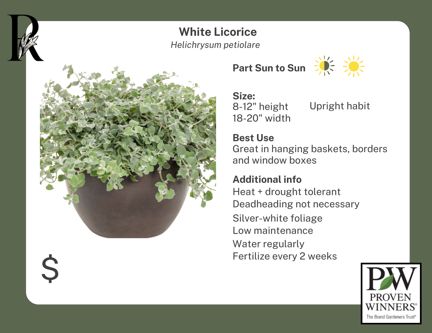 White Licorice