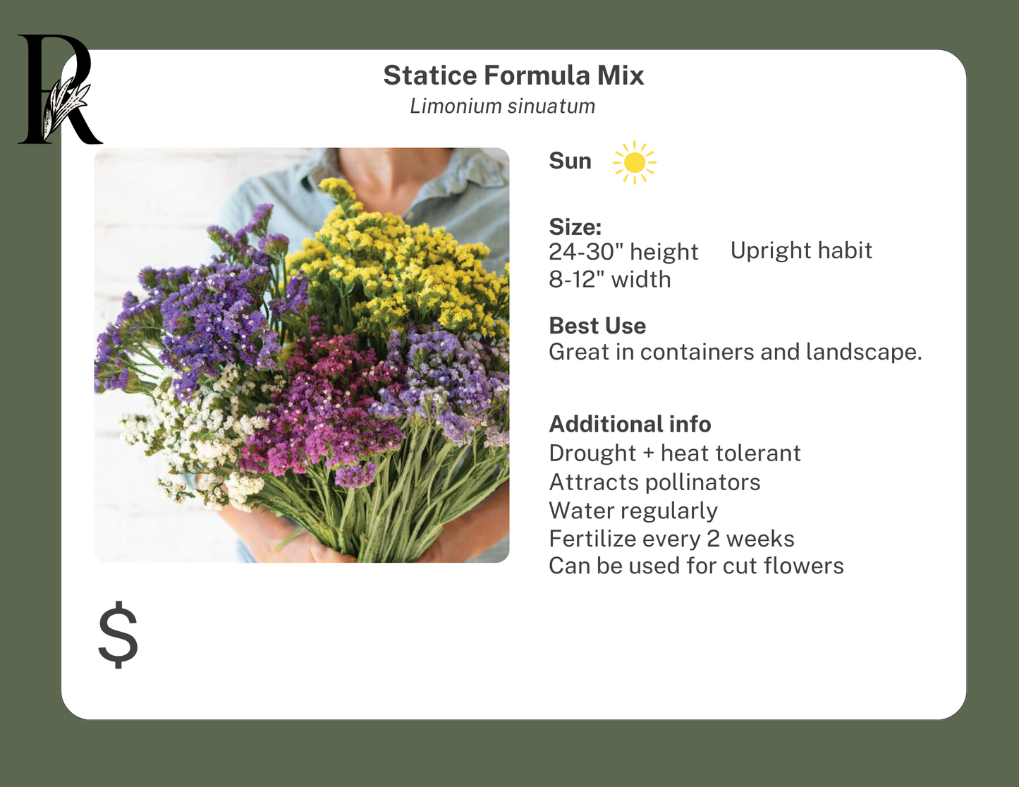Statice Formula Mix