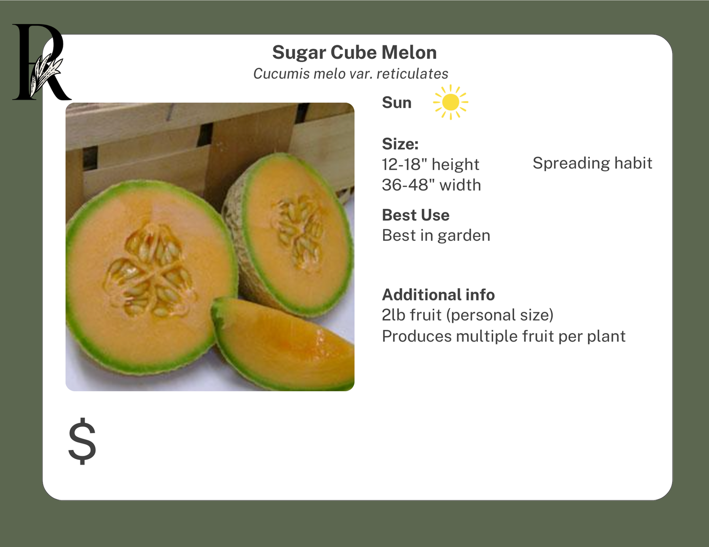 Sugar Cube Melon