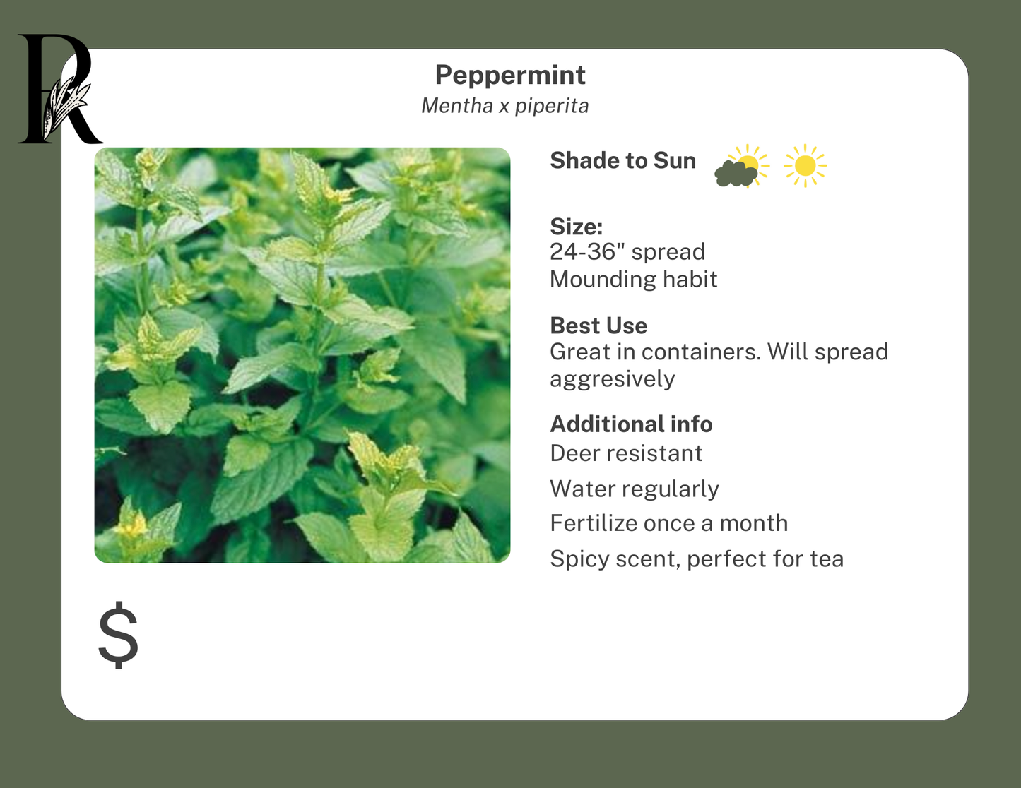 Peppermint