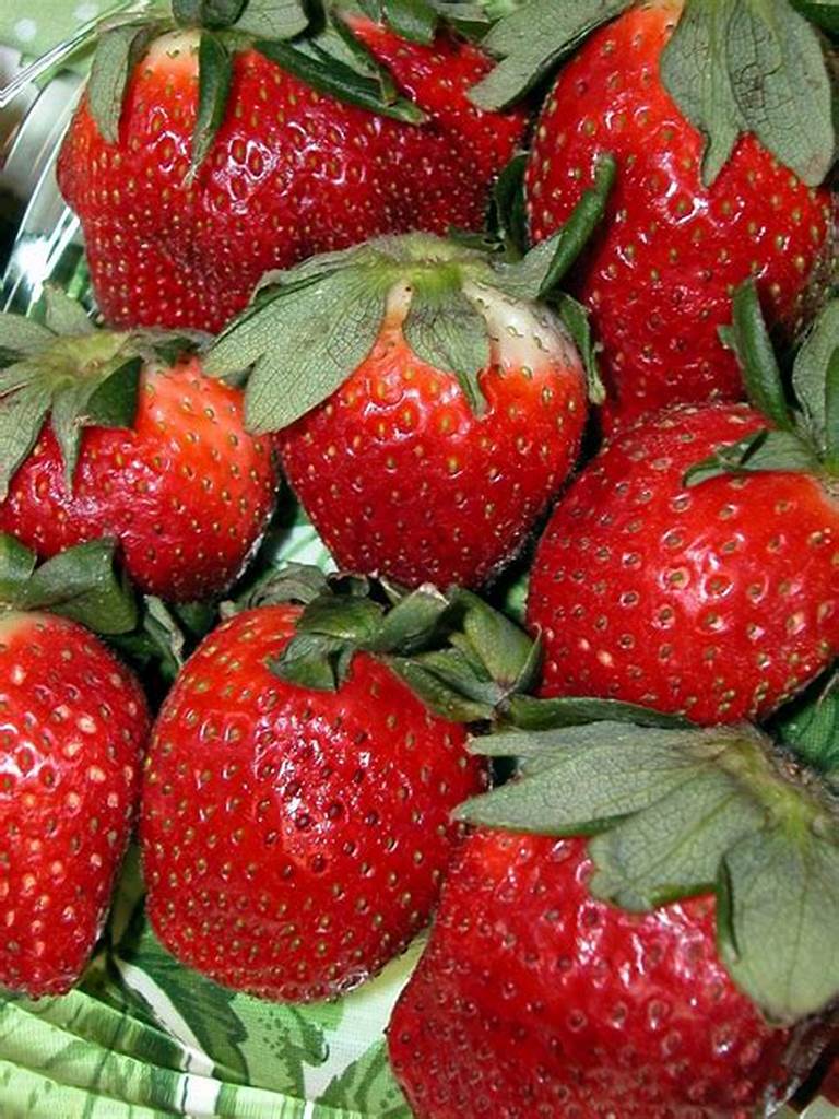 'Fort Laramie' Strawberry