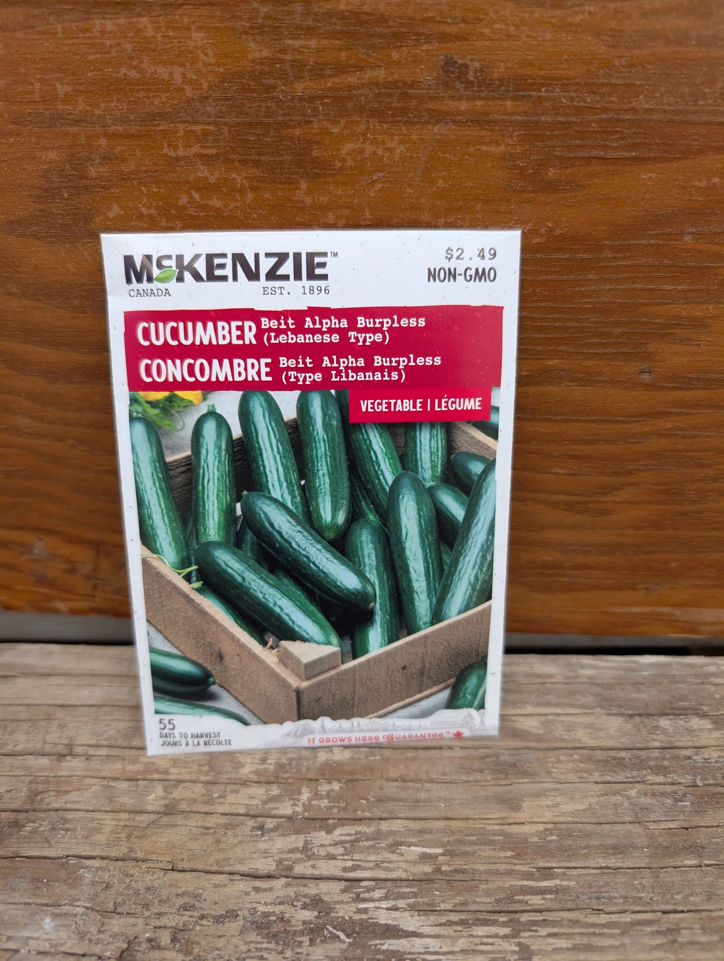 Beit Alpha Burpless Cucumber