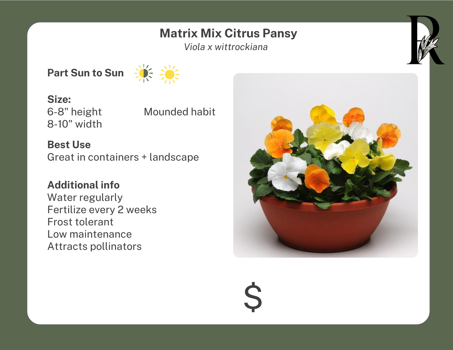 Matrix Mix Citrus Pansy