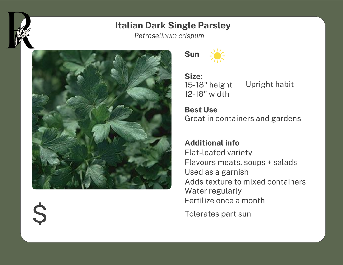 Italian Dark Single Parsley