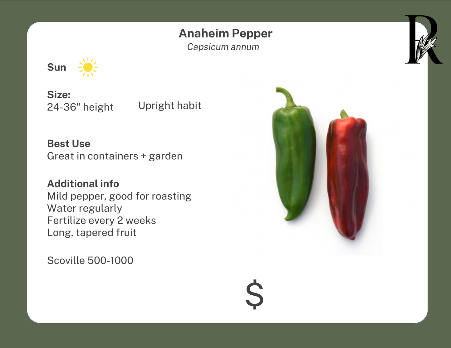 Anaheim Pepper