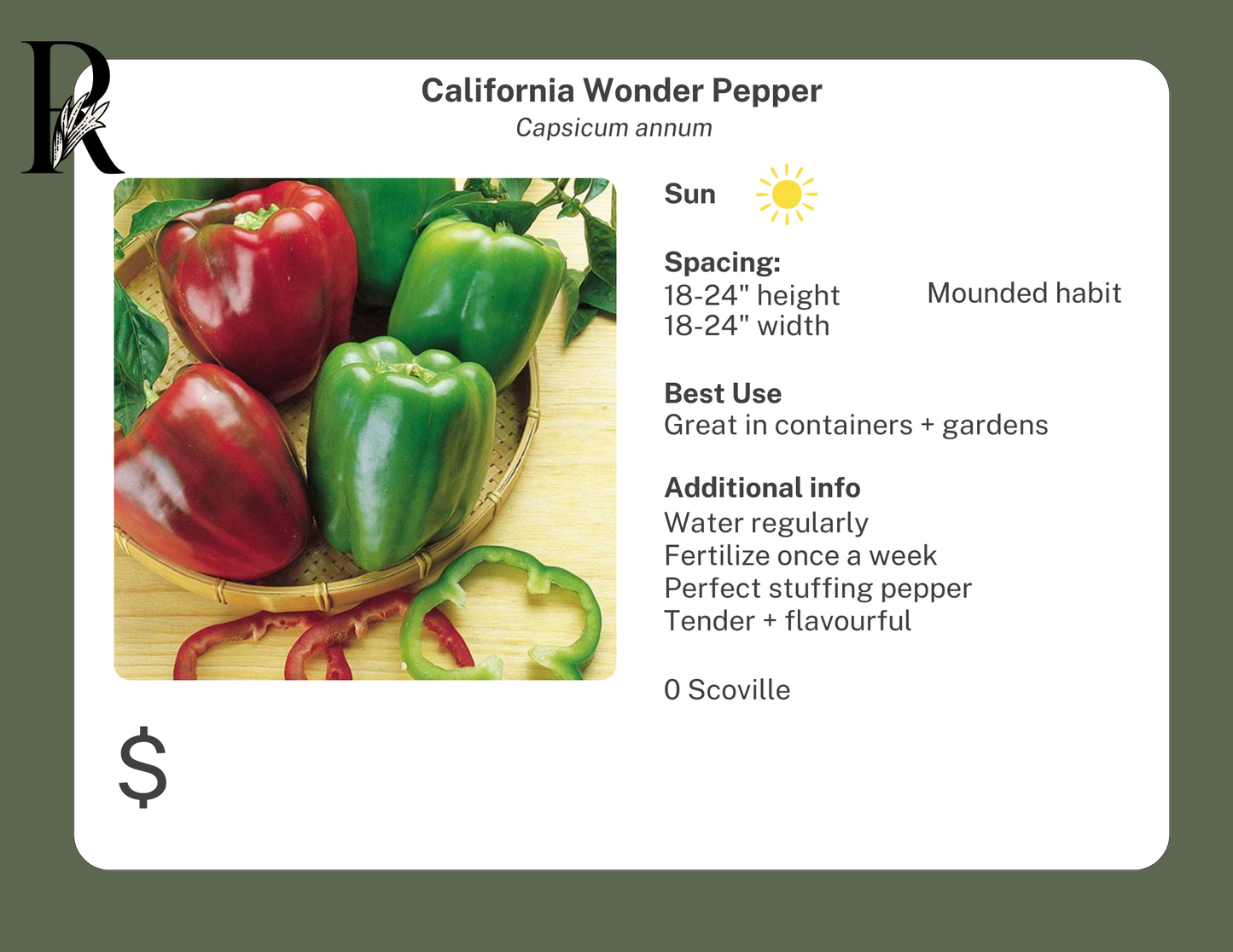 California Wonder Pepper