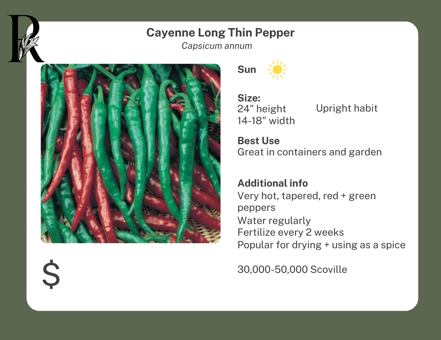 Cayenne Long Thin Pepper