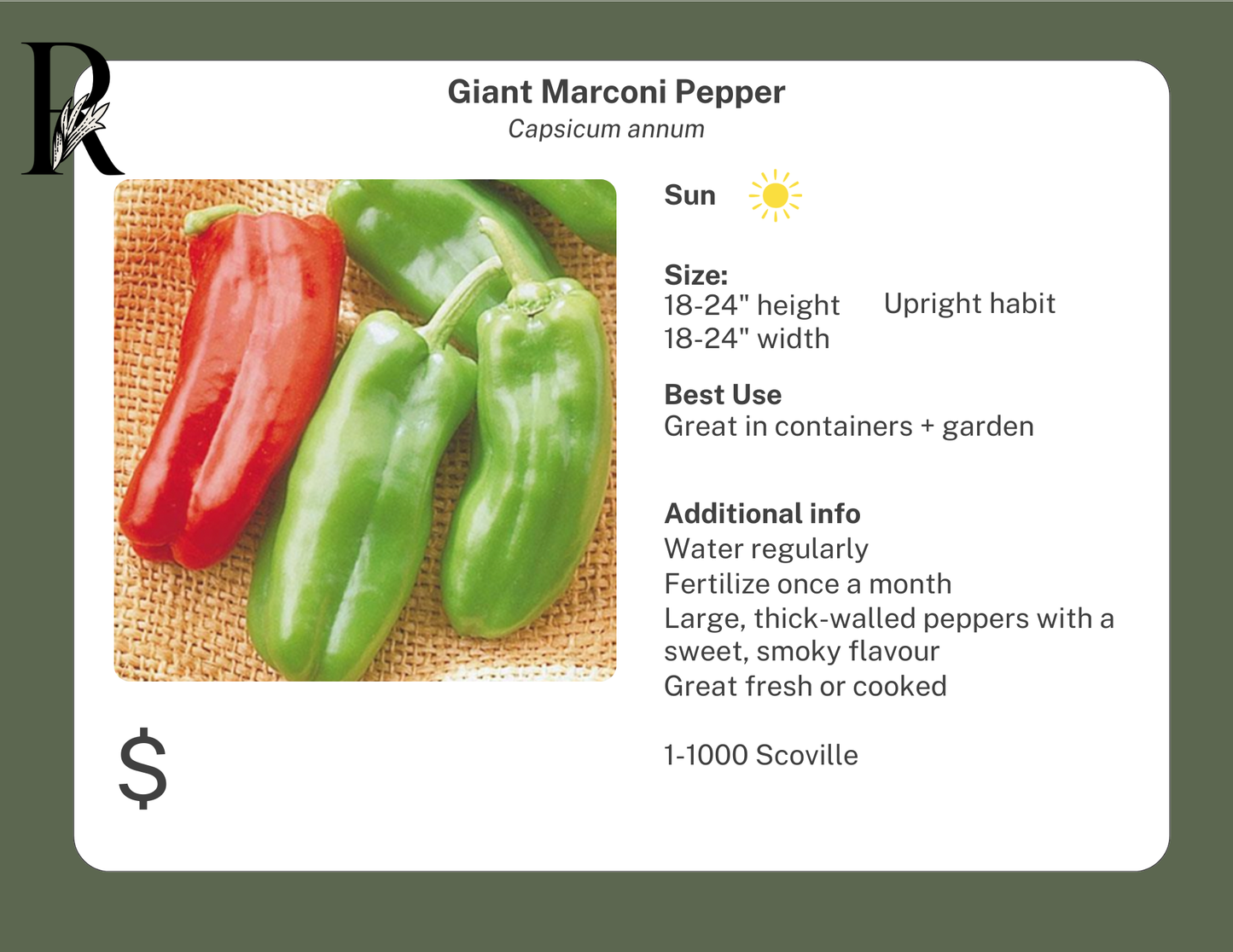 Giant Marconi Pepper
